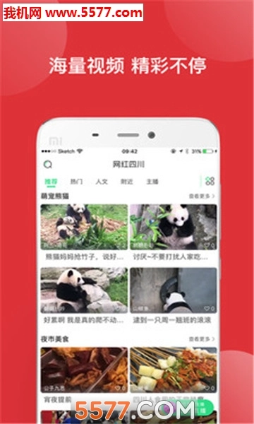 网红四川安卓版