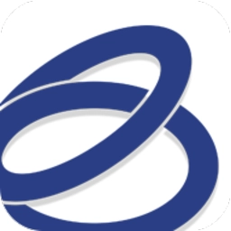 中国宝武官方正版