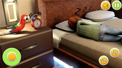 宠物鹦鹉模拟器最新版图2