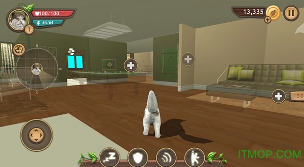 模拟猫咪(catsim)原版(1)