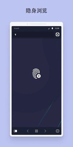Vivaldi免登录版图3