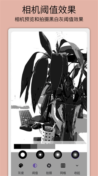 灰阈相机手机最新版图1