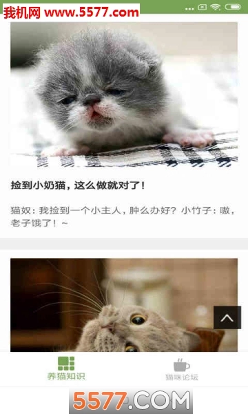 猫咪生活圈安卓版图2