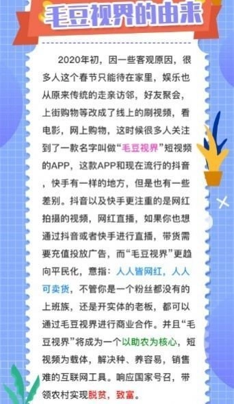 毛豆视频