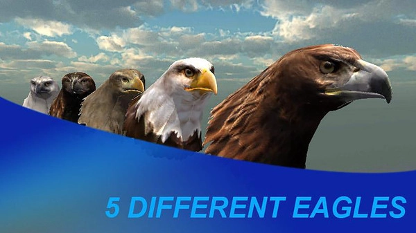 猎鹰之旅模拟器图4