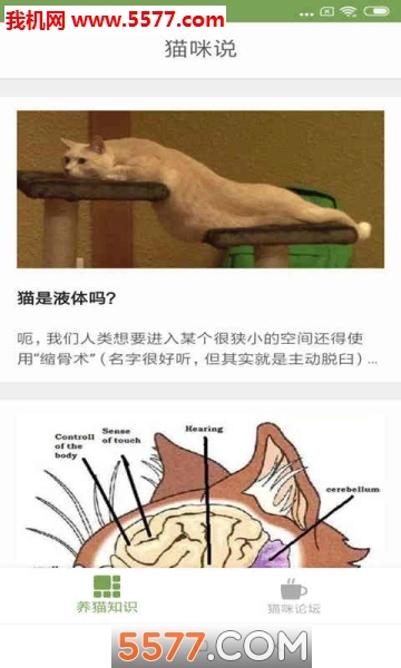 猫咪生活圈安卓版图1