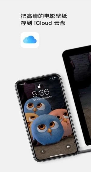 Movy高清壁纸安卓版图1