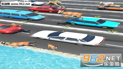 公路上的动物安卓版