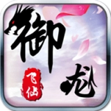 御龙飞仙安卓版