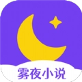 雾夜小说