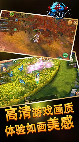 大荒天安卓版图1