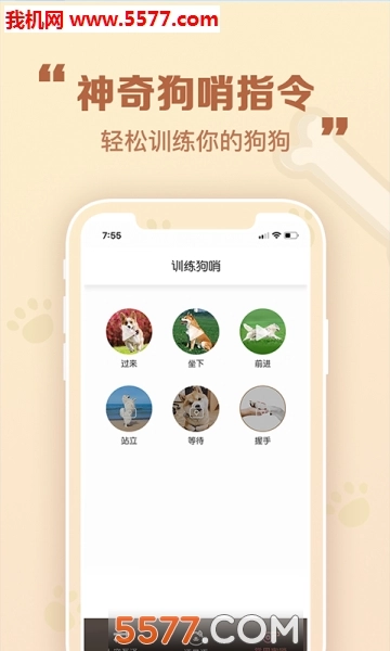 考拉人狗翻译器