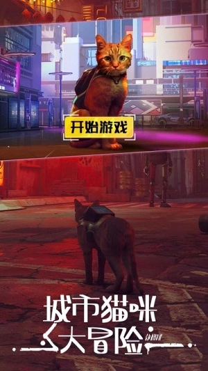 城市动物大冒险手机版