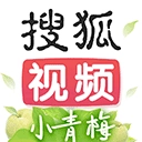 搜狐视频客户端电脑版