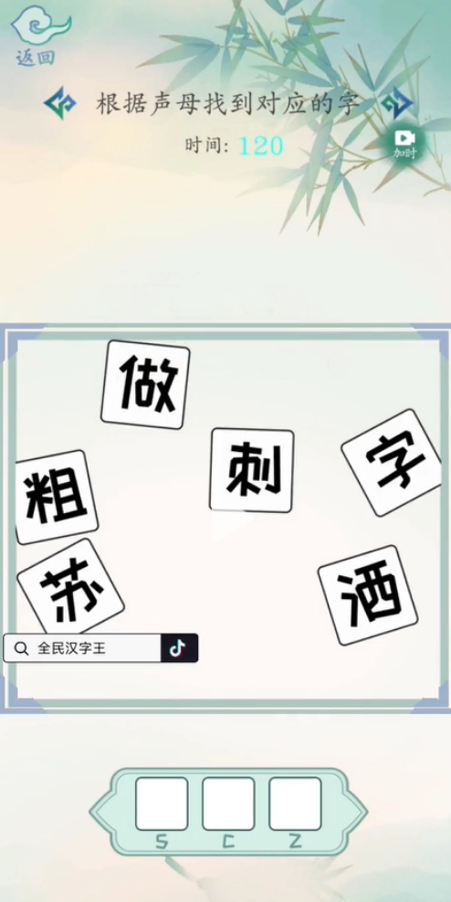 全民汉字王(4)