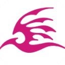 飞极速安卓直装版