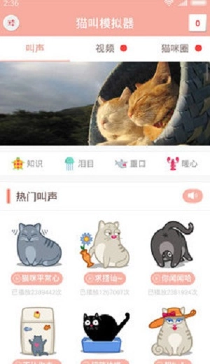 猫叫模拟器手机版(1)
