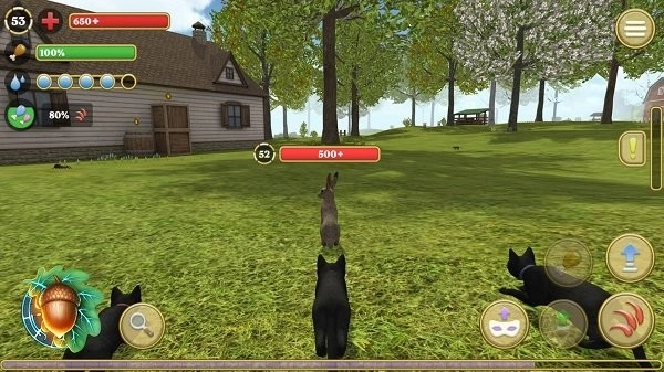 猫咪生存探险图3