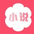 桃花小说完整版