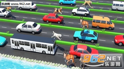 公路上的动物安卓版