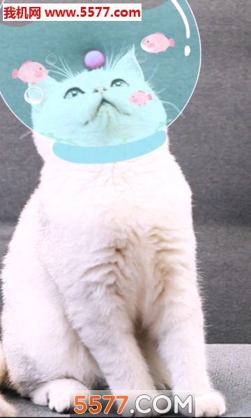 相机潮自拍手机免费版图3