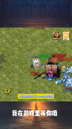 顺玩斗帝传奇安卓版图1