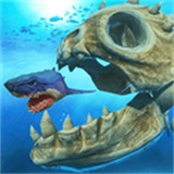 海底进化世界直装游戏版