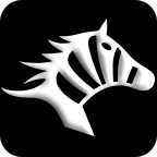 斑马快跑司机端