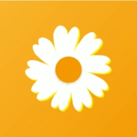 雏菊平台微信辅助官方最新版