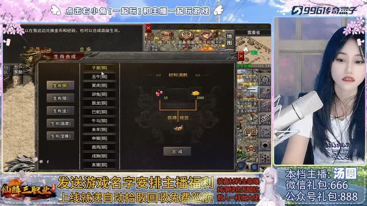 灿麟三职业传奇图2