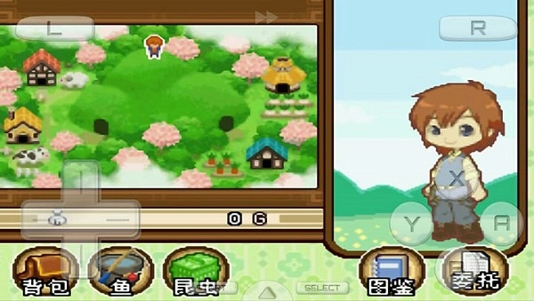 牧场物语：双子村游戏官方版图2