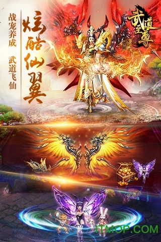 武道至尊微信登录版图1