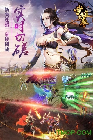 武道至尊微信登录版图2