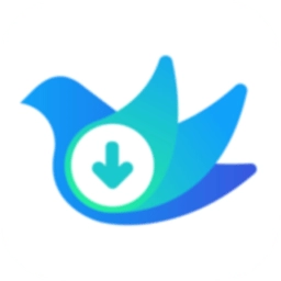 云雀视频助手手机正版