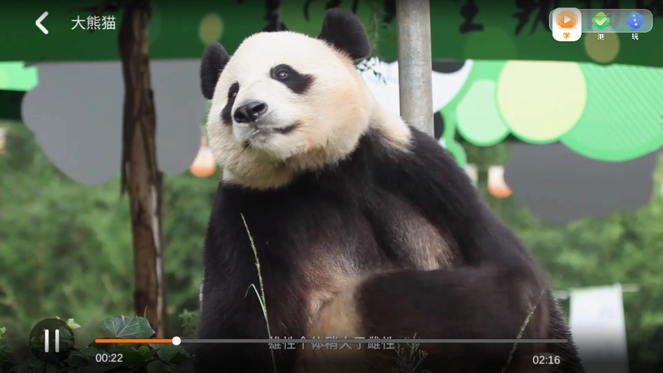 探趣动物园游戏