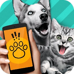 pettranslator官方最新版