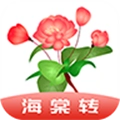 海棠转