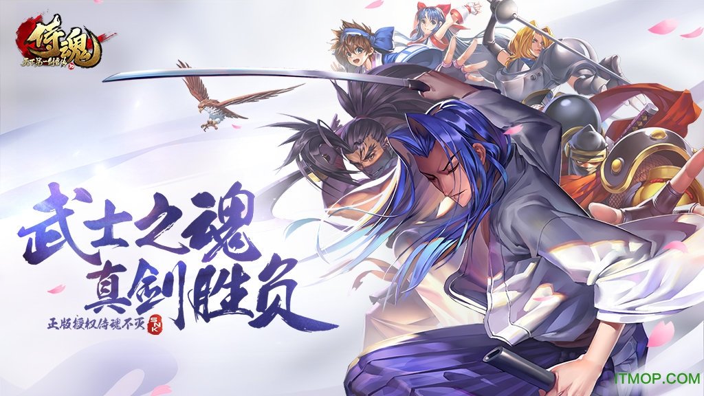 天下第一剑客传果盘版图2