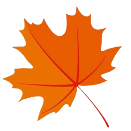 枫奕TVPro最新版