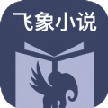 飞象小说