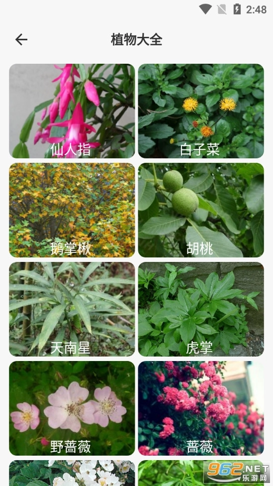 拍照识图助手