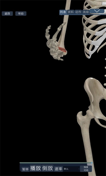 3D运动解剖手机版