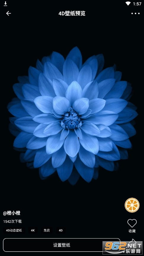 橙子4D动态壁纸