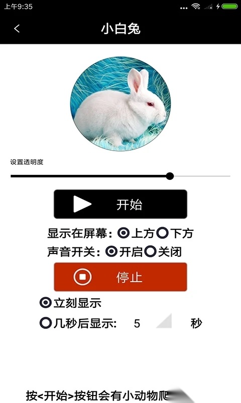 整人宠物恶作剧官方正版图3