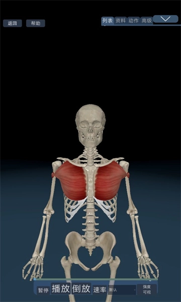 3D运动解剖手机版