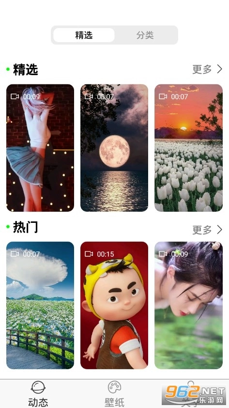 飞花动态壁纸