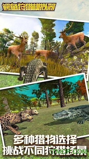 鳄鱼狩猎模拟器