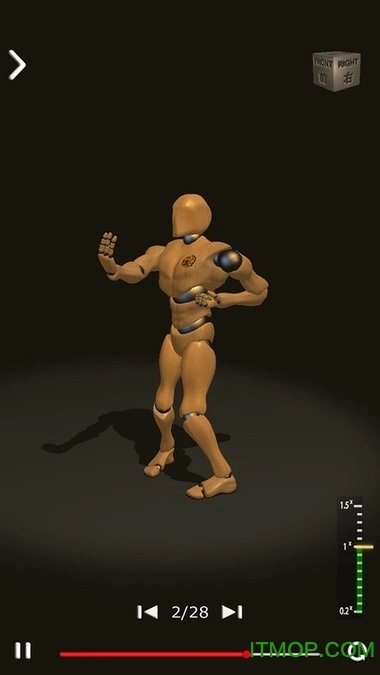 咏春拳师(WingChunTrainer)手机正版图1