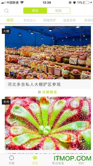 喜绿图1