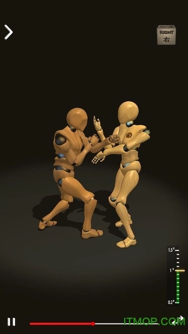 咏春拳师(WingChunTrainer)手机正版图3